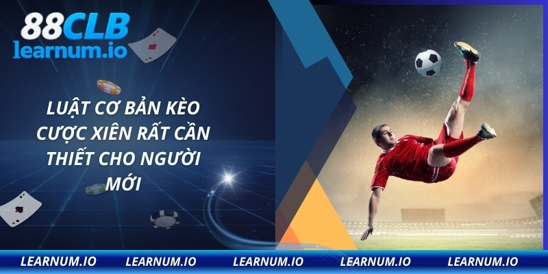 Luật cơ bản kèo cược xiên rất cần thiết cho người mới